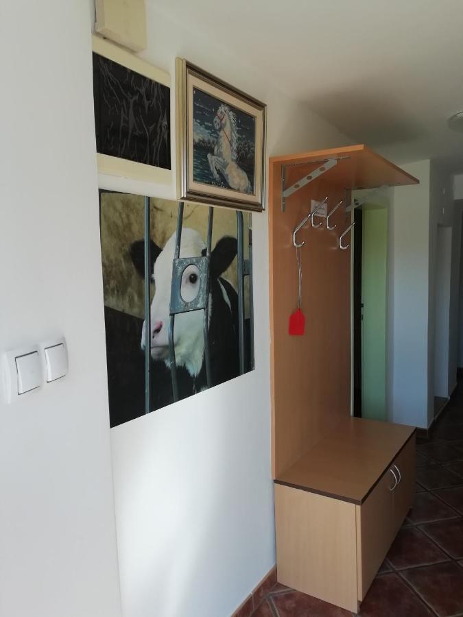 Apartma Pr' Vok レスツェ エクステリア 写真
